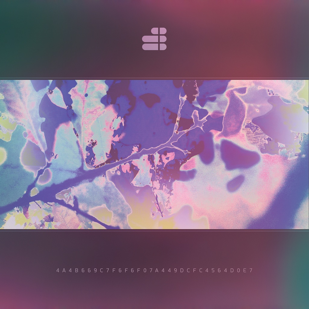 [PRO1802-1248] Fragmented Consciousness