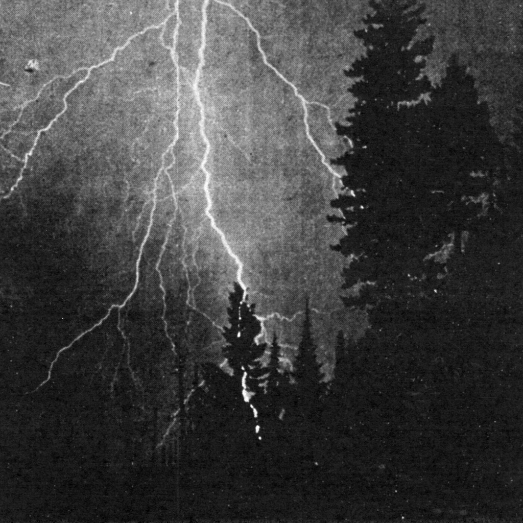 Deluge