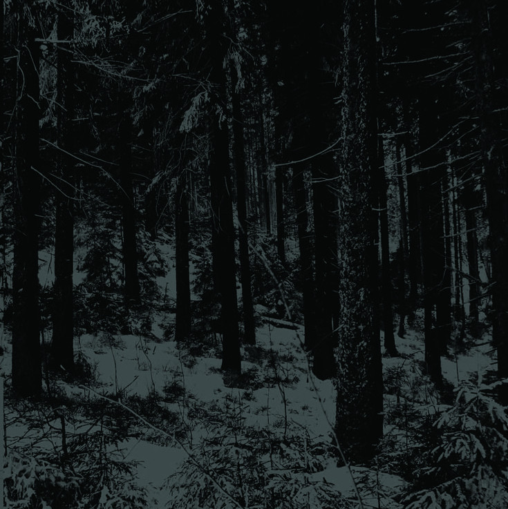Abstrakter Wald