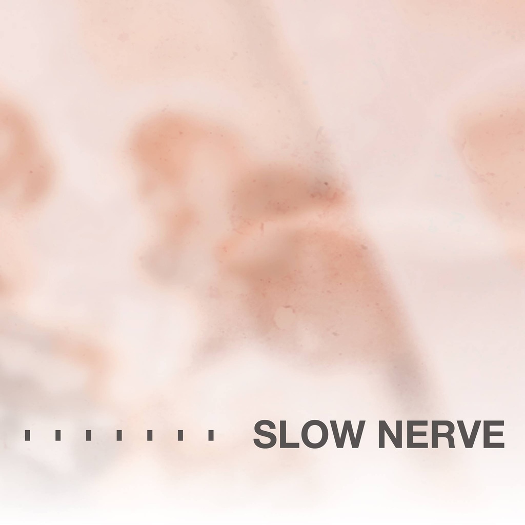 [PRO1804-2153] Slow Nerve