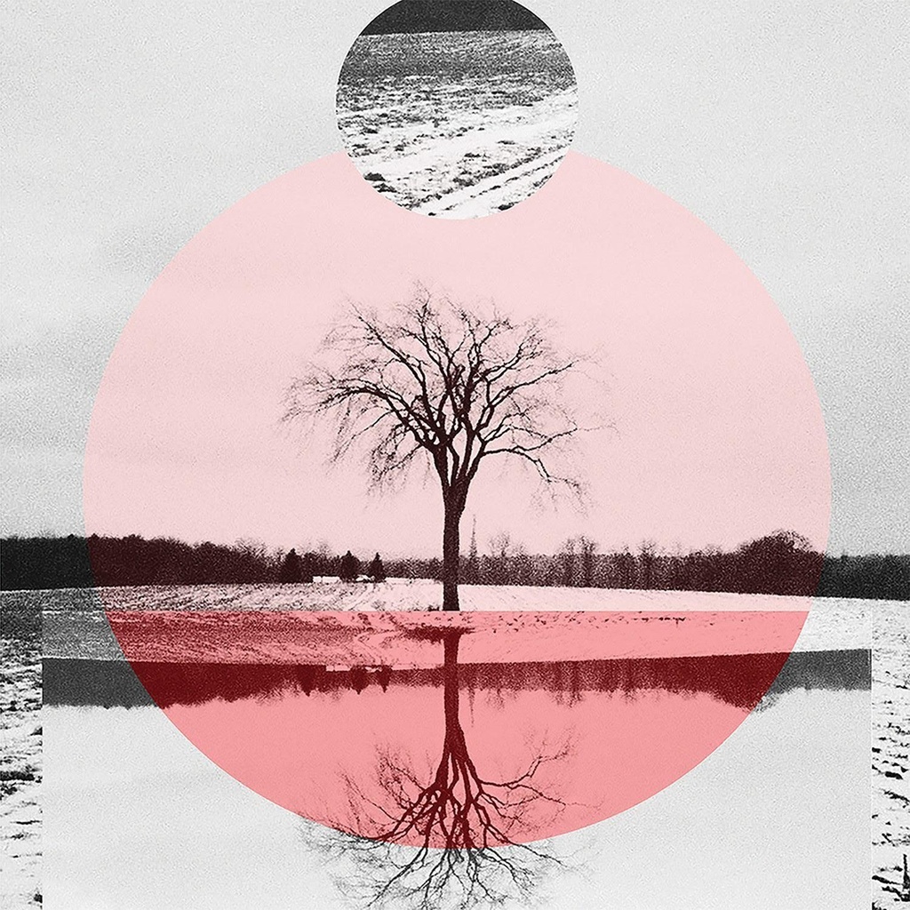 [PRO1907-2718] The Forcing Season