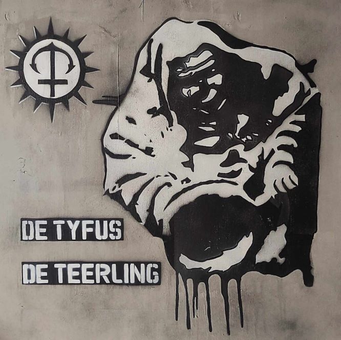 [PRO2501-4788] De Tyfus, De Teerling