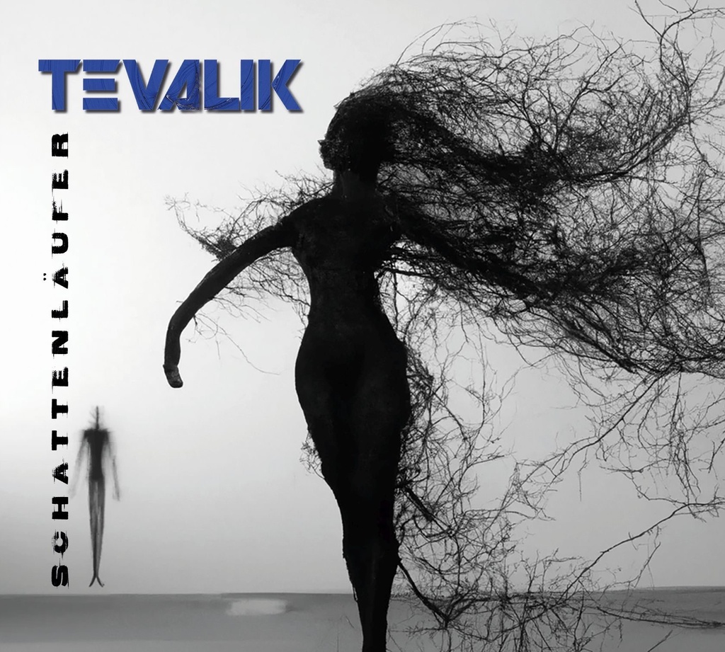 [PRO2402-3536] Schattenläufer