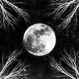 Palemoon