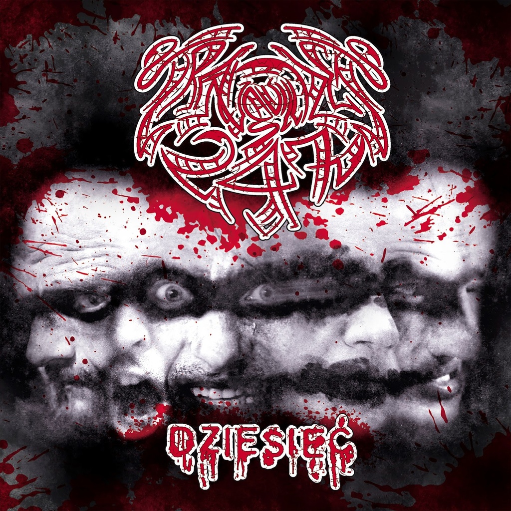 [PRO1910-2791] Dziesiec