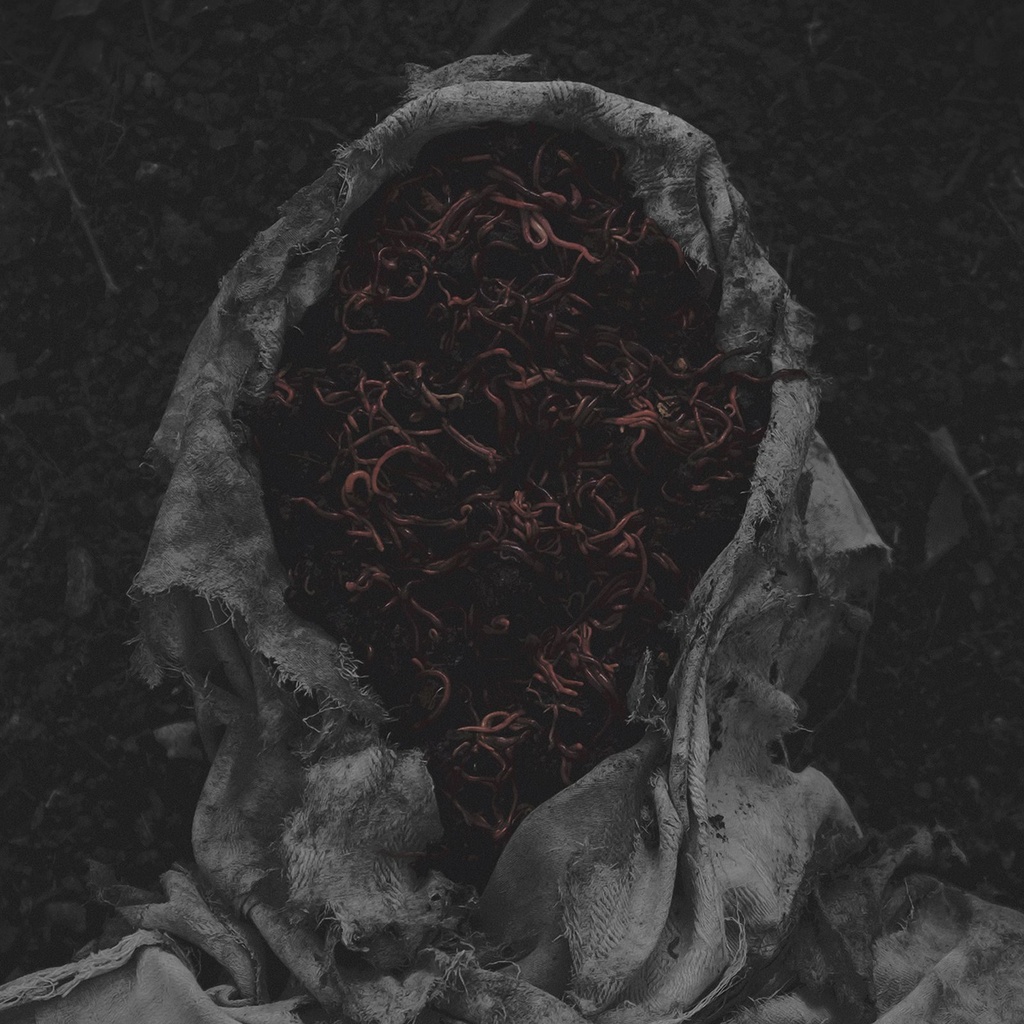 [PRO2512-4946] Stillamentum