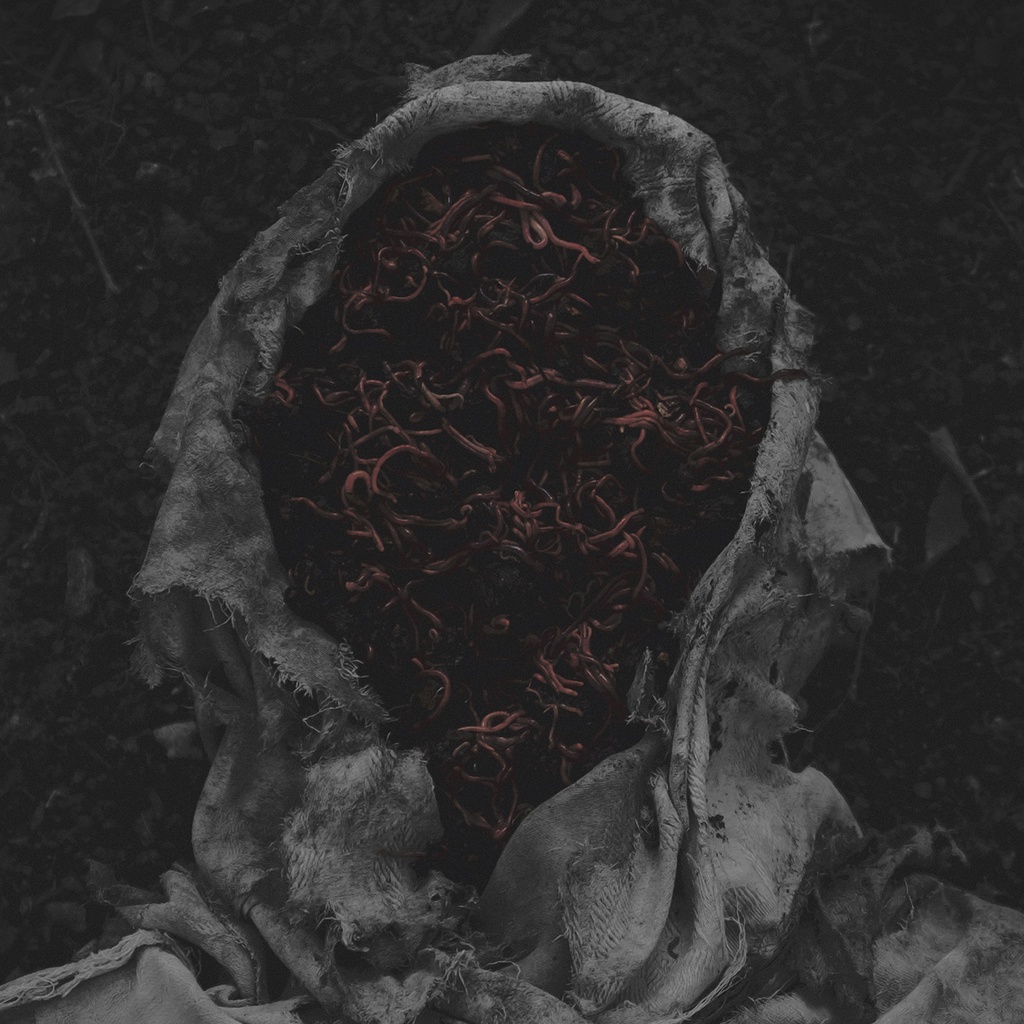 [PRO2601-0002] Stillamentum