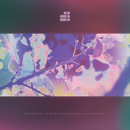 [PRO1802-1248] Fragmented Consciousness