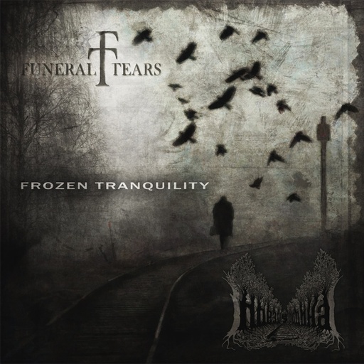 [PRO1802-1628] Frozen Tranquility