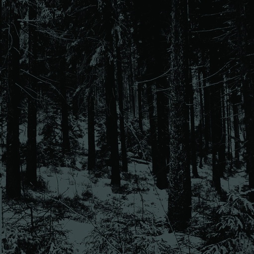 [PRO1802-1654] Abstrakter Wald