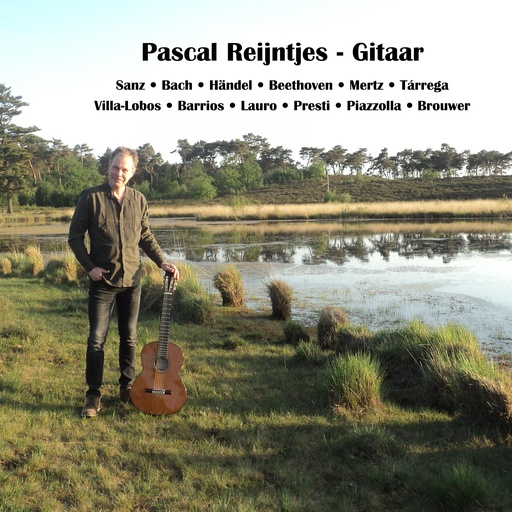 [PRO2208-3352] Pascal Reijntjes - Gitaar