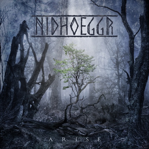 [PRO2109-3177] Arise