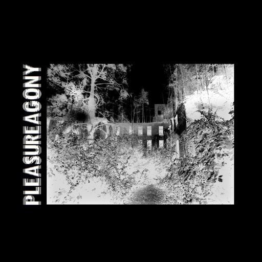 [PRO1802-1729] Pleasureagony