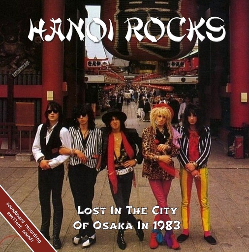 [PRO2405-3563] Lost in the city of Osaka