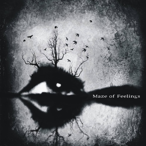 [PRO1808-2315] Maze Of Feelings
