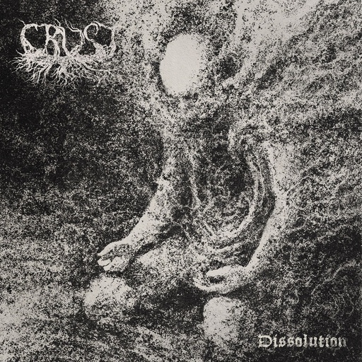 [PRO2310-3490] Dissolution