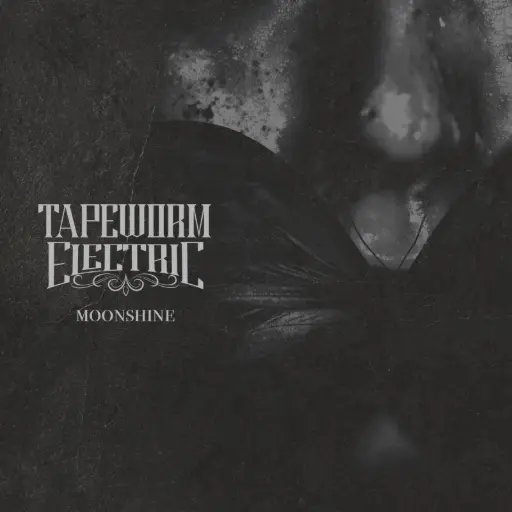 [PRO2509-4886] Moonshine